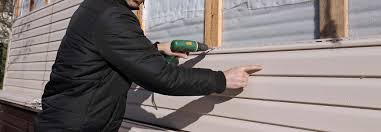 Best Historical Building Siding Restoration  in Del Mar, CA